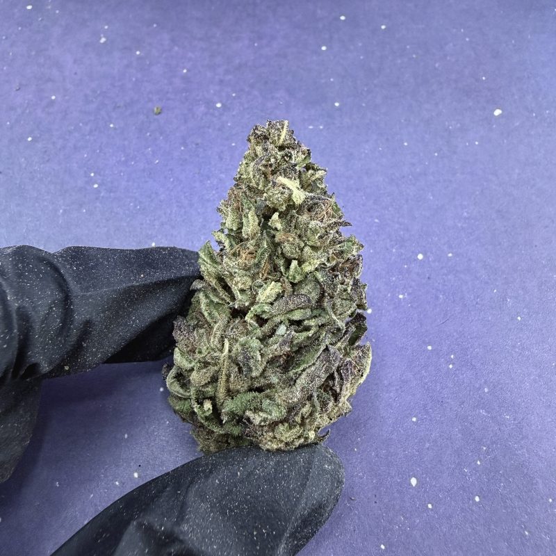 B08 Cloud KUSh